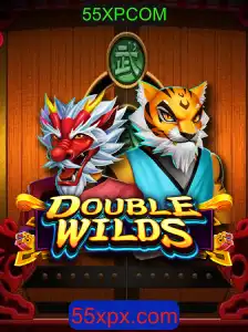 Introdução e Regras do Jogo DoubleWilds
